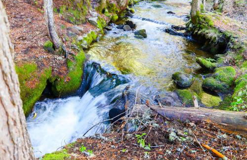 Snow Shire Cabin - Meredith Lodging - Foto 57