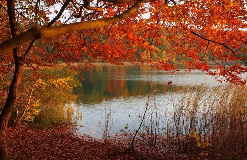 Gut Pälitzhof - Foto 24