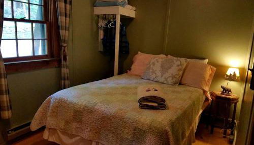 Lovely Lakeside Cabin Rental near Pharaoh Lake Wilderness Area in New York - Foto 4