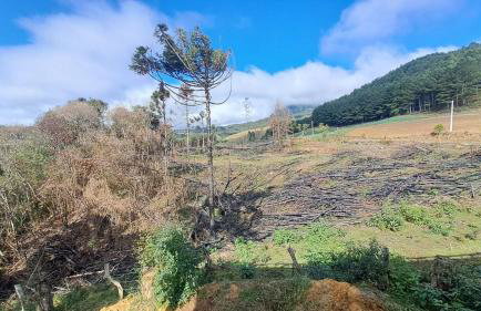 Pousada Refúgio Ressignificar - Foto 16