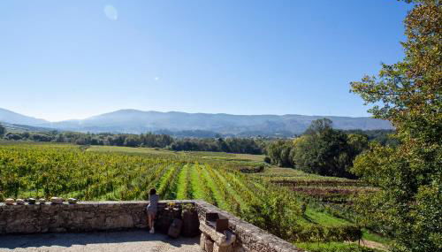 Quinta De Vila Nova - Agroturismo - Photo 3