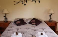 Gîte Le Clos des Vosges - Foto 11