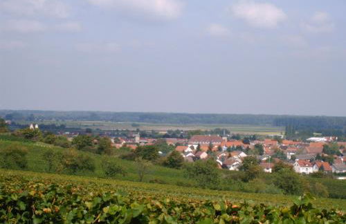 Gästehaus Guntersblum - Foto 27