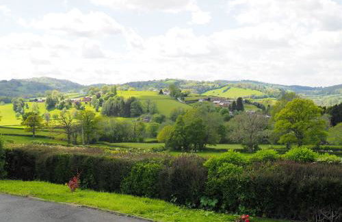 Berwyn View - Photo 40