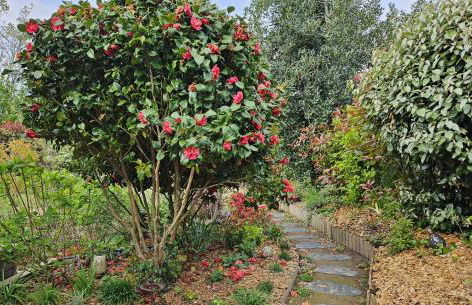 Gîte Les mouettes qui caquètent - Foto 13