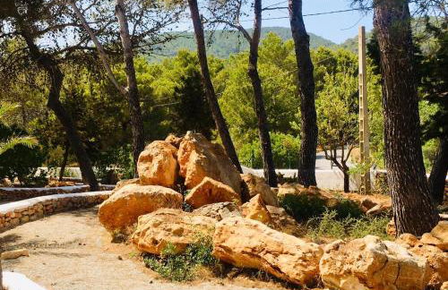 CASA RIBAS - Photo 19