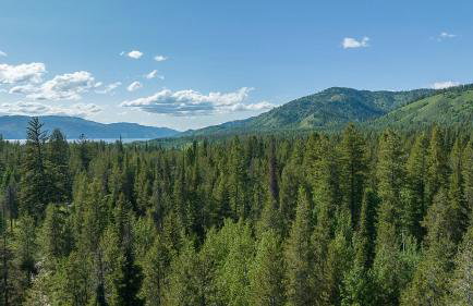 Alpine Breakwater - Foto 45