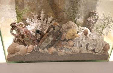 Apartmant Bionda Novi Vinodolski, cozy and nice apartment for 4 people in the city center - Photo 100