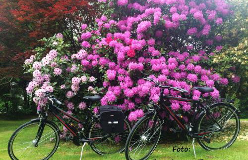 FeWo Shervin - Foto 42