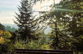 Casa de Gengenbach - Foto 17