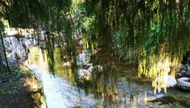 Bangalo a beira do rio em plena natureza - Foto 4