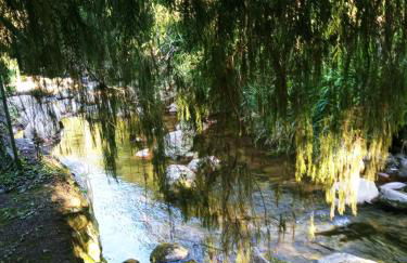Bangalo a beira do rio em plena natureza - Foto 5