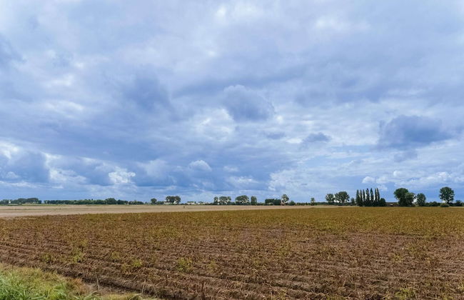 Idyllic Holiday Home in Ooltgensplaat With Private Terrace - Photo 33