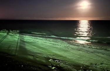 Casa de Carne de Vaca - Foto 8