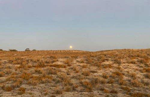 A Casa do Tio Óscar - Photo 8