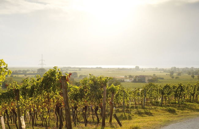 Heritage Apartment With Swimming Pond - Photo 20
