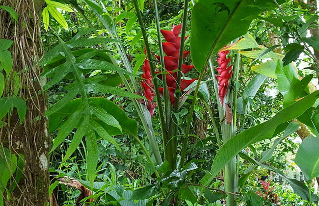 Maluhia Kahakai 2 Bedroom Condo by RedAwning - Foto 34
