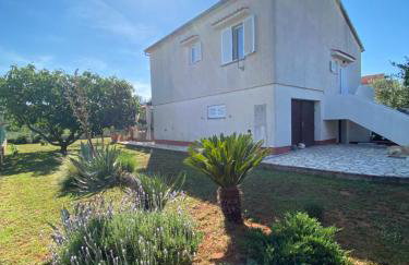 Beautiful island house Ugljan - Photo 2