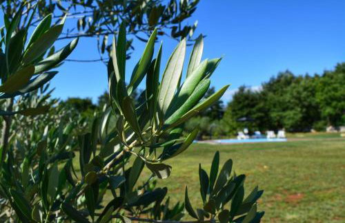House in Nature - Foto 64