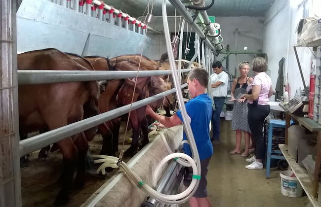 Petrinos Milos - Foto 40