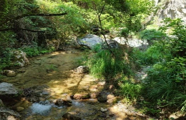 Escursione al Monte Olimpo: Cascate di Agia Kori e Palaios Panteleimonas - Foto 6
