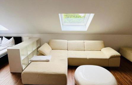 Lateinschule - Foto 16