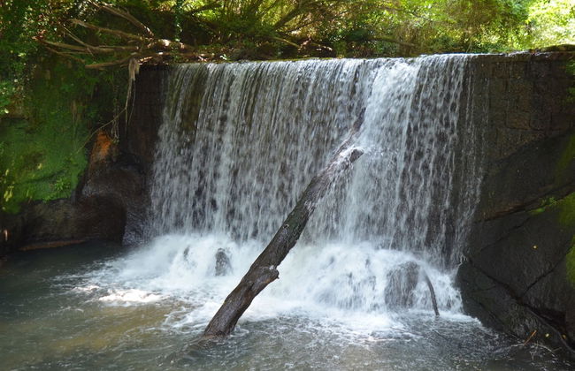 Charmante Home With Garden - Foto 35