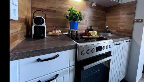 Apartment mit Grünblick & Wintergarten im Schwarzwald - Foto 2