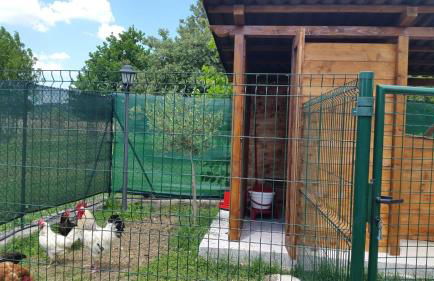 River Melody - Foto 79