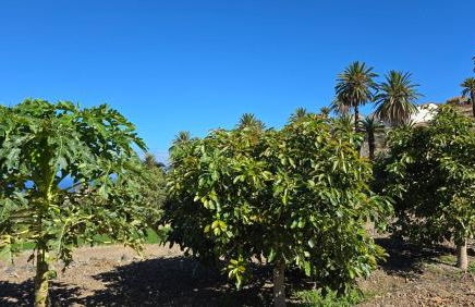 Galeón Ossorio Vistas Panoramicas - Foto 28