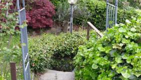 Lussuoso appartamento nella magia del lago d'Orta - Foto 4, Garden