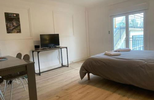 Loft avec parking centre Tours et bord du Cher Loire Valley - Foto 13