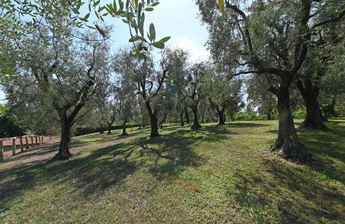 Agriturismo Corte Stefani - Foto 27