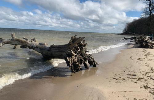 Boddenhus Loissin - Foto 36