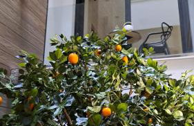 BONNIES Suites & Spa Valencia - Photo 44