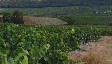 La Longère de Vin'Ay - Foto 4