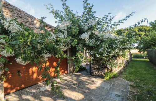 Bute Cottage - Foto 47