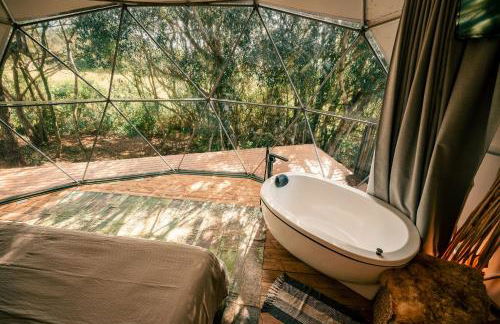 Esphera Glamping - Gravataí - RS - Foto 79