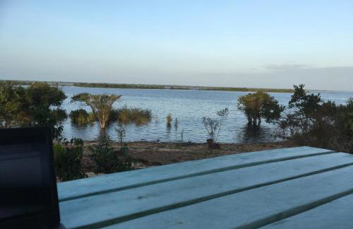 Premium Amazon Jungle Lodge - Foto 15