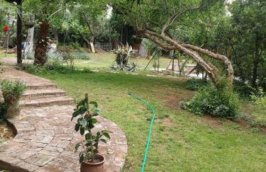 Villa with big garden - Foto 23