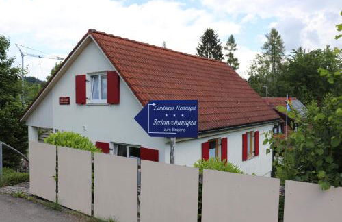 Wohnung #5 mit Balkon - zentrale dennoch ruhige Lage mit Terrasse - Stadtbus vor der Tür! - Foto 30