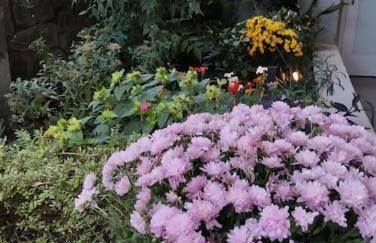 V&S Apartments - Foto 22