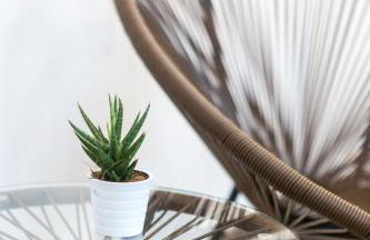 Altstadt Apartments - Foto 31