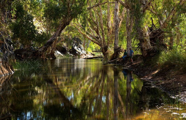 Cheela Plains Station - Foto 28