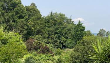 Quinta de Ribas - Foto 3