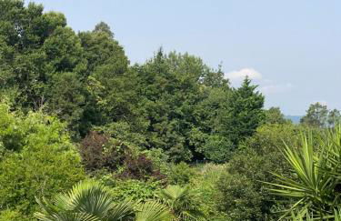 Quinta de Ribas - Foto 3