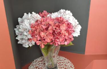 OlimpicTO, ideale per i tuoi eventi a Torino - Foto 16