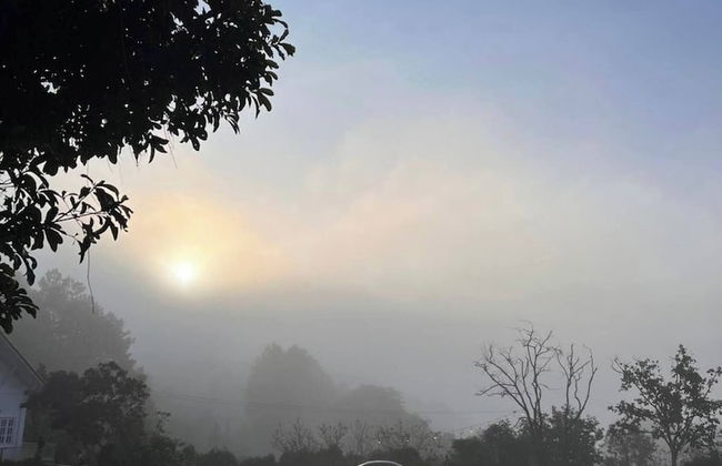 Scent House - Village - Foto 39