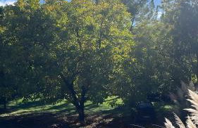 Maisonnette au coeur du Luberon - Foto 12