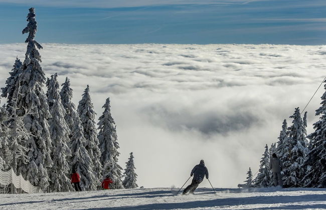 Residence Kovárna - Foto 49